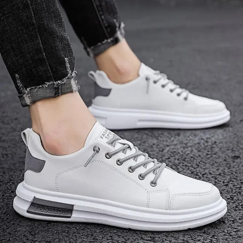 gid://shopify/MediaImage/24532719665246
