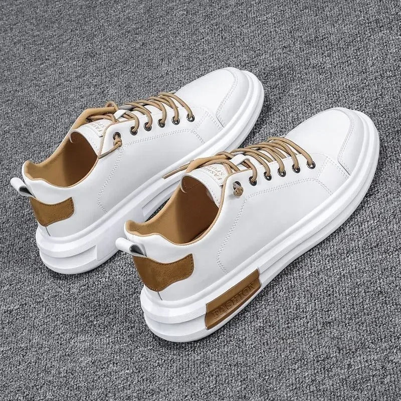 gid://shopify/MediaImage/24532719730782