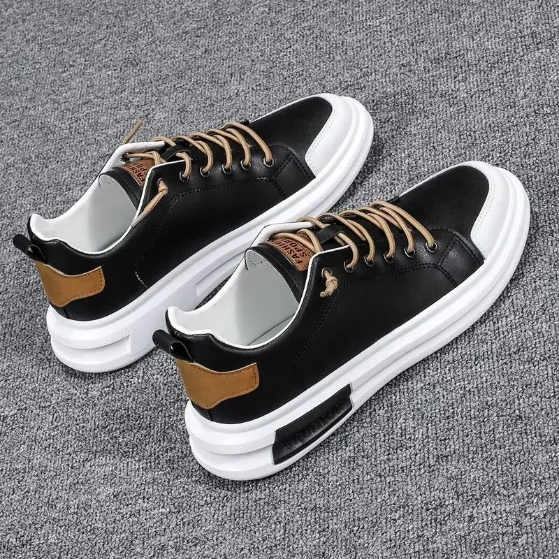 gid://shopify/MediaImage/24532719796318