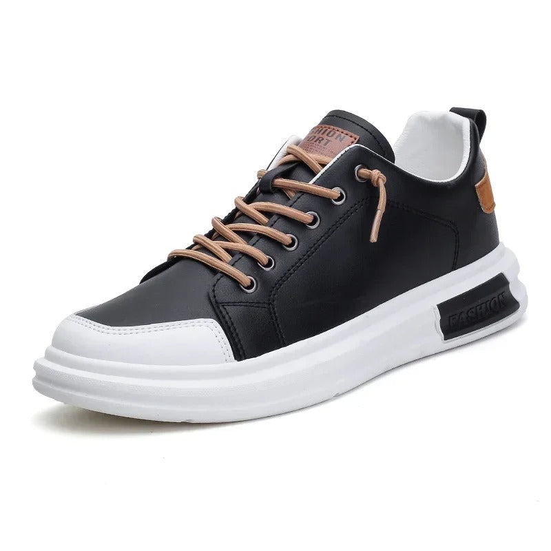 gid://shopify/MediaImage/24532719894622